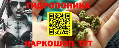 мдма Новодвинск