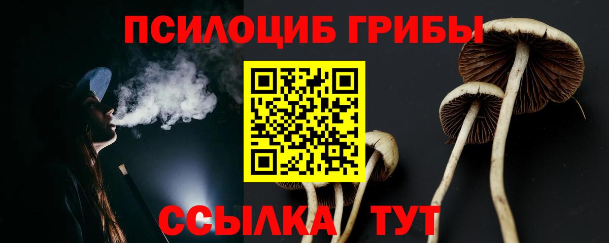 Галлюциногенные грибы GOLDEN TEACHER Шарыпово